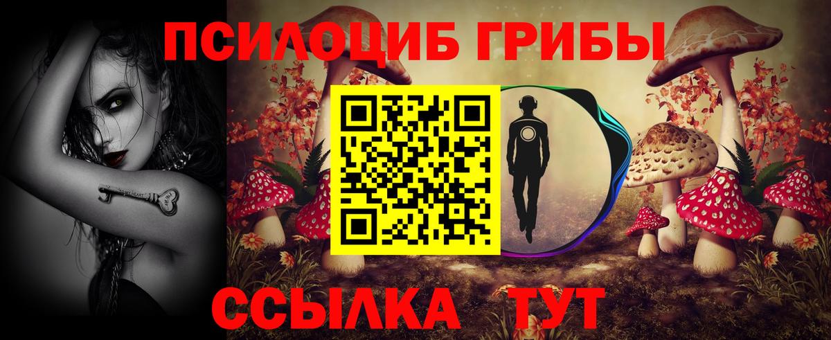 Галлюциногенные грибы Psilocybine cubensis Карпинск