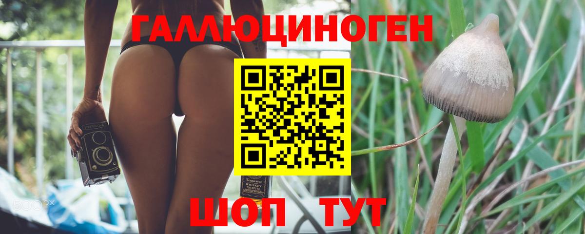 Галлюциногенные грибы Psilocybine cubensis  Вход с VPN  Карпинск 